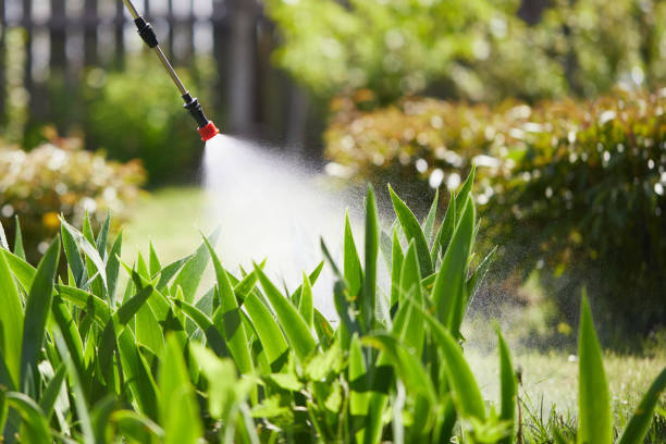 24/7 Emergency Mosquito Control experts in Monterey, TN